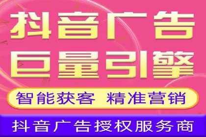 SEM投放策略优化案例分析